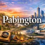 Illustration showing Pabington as a blend of countryside, adventure, and modern digital growth with branding and SEO elements.